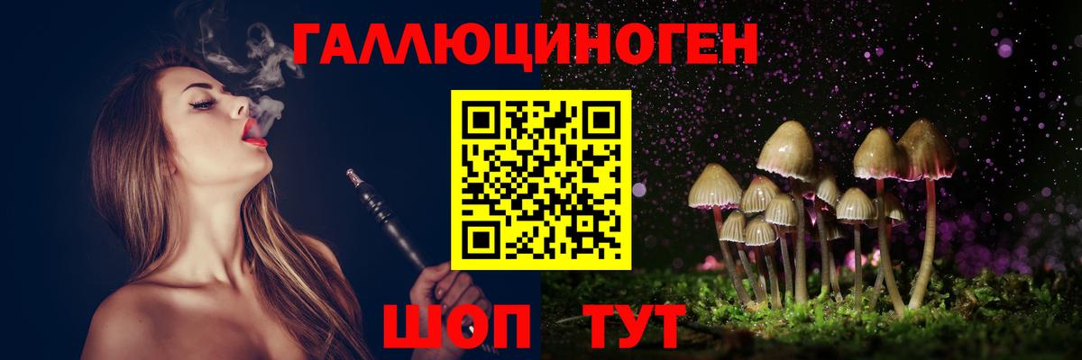 Галлюциногенные грибы Psilocybine cubensis Калач-на-Дону